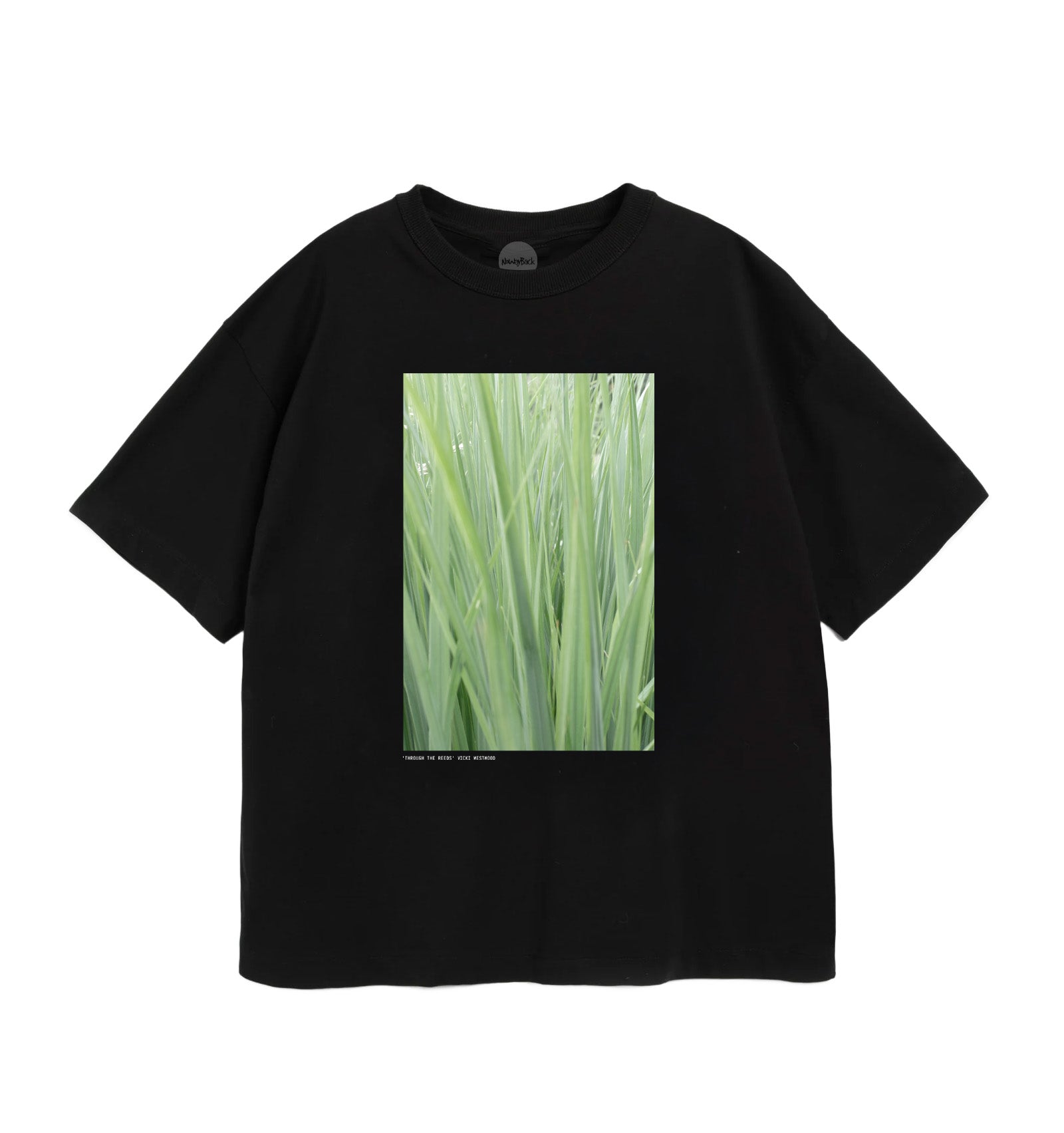 Through The Reeds